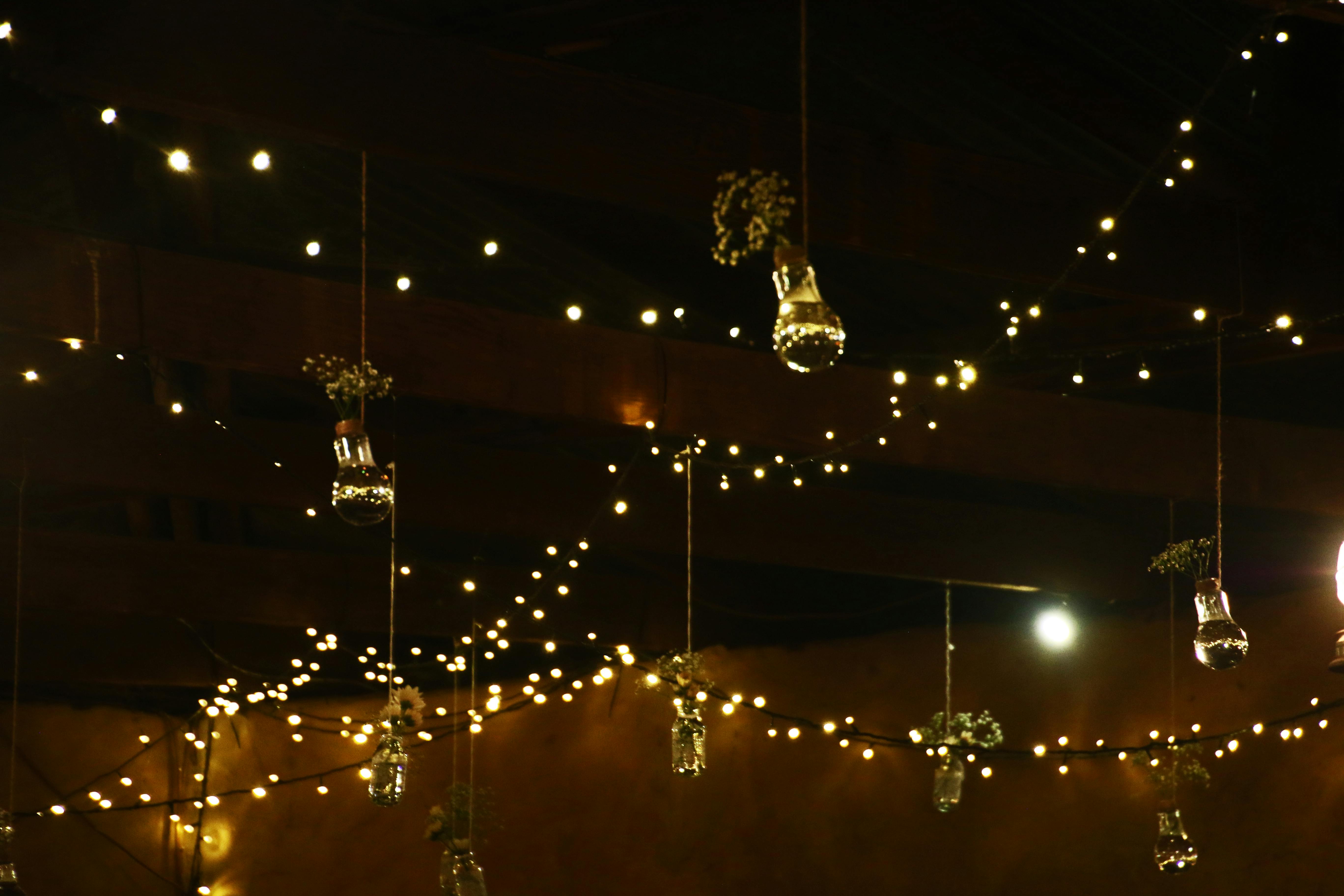 Warm string lights and flower-filled glass bulbs hang in a cozy winter garden setting.