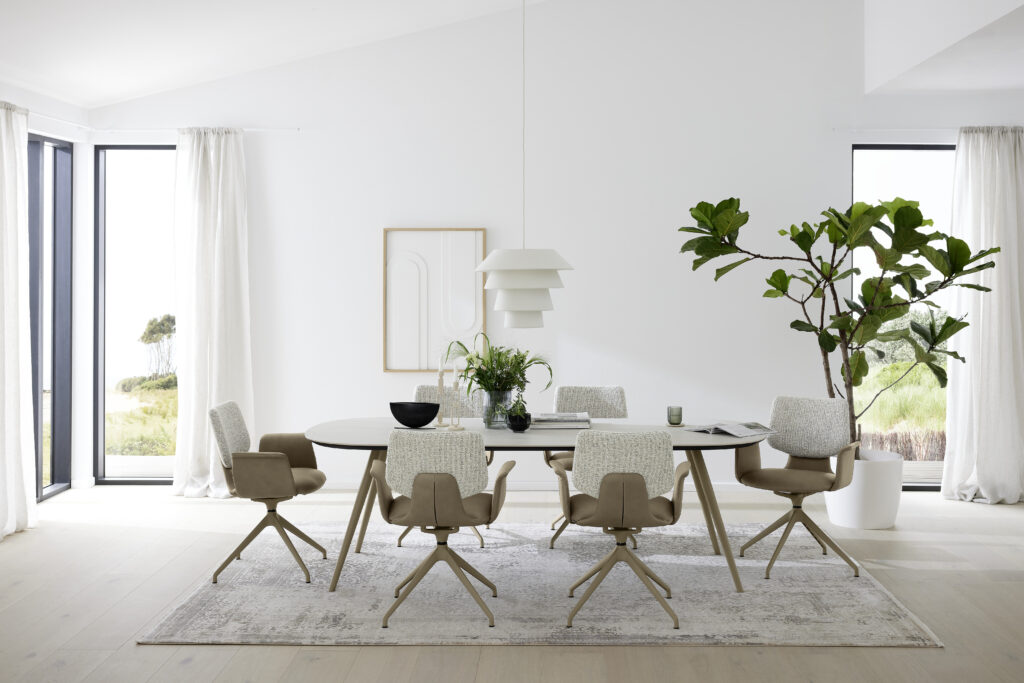 Ovaler Esszimmertisch in einem hellen Zimmer, drumherum stehen moderne Stühle und an der rechten Seite steht eine große Pflanze