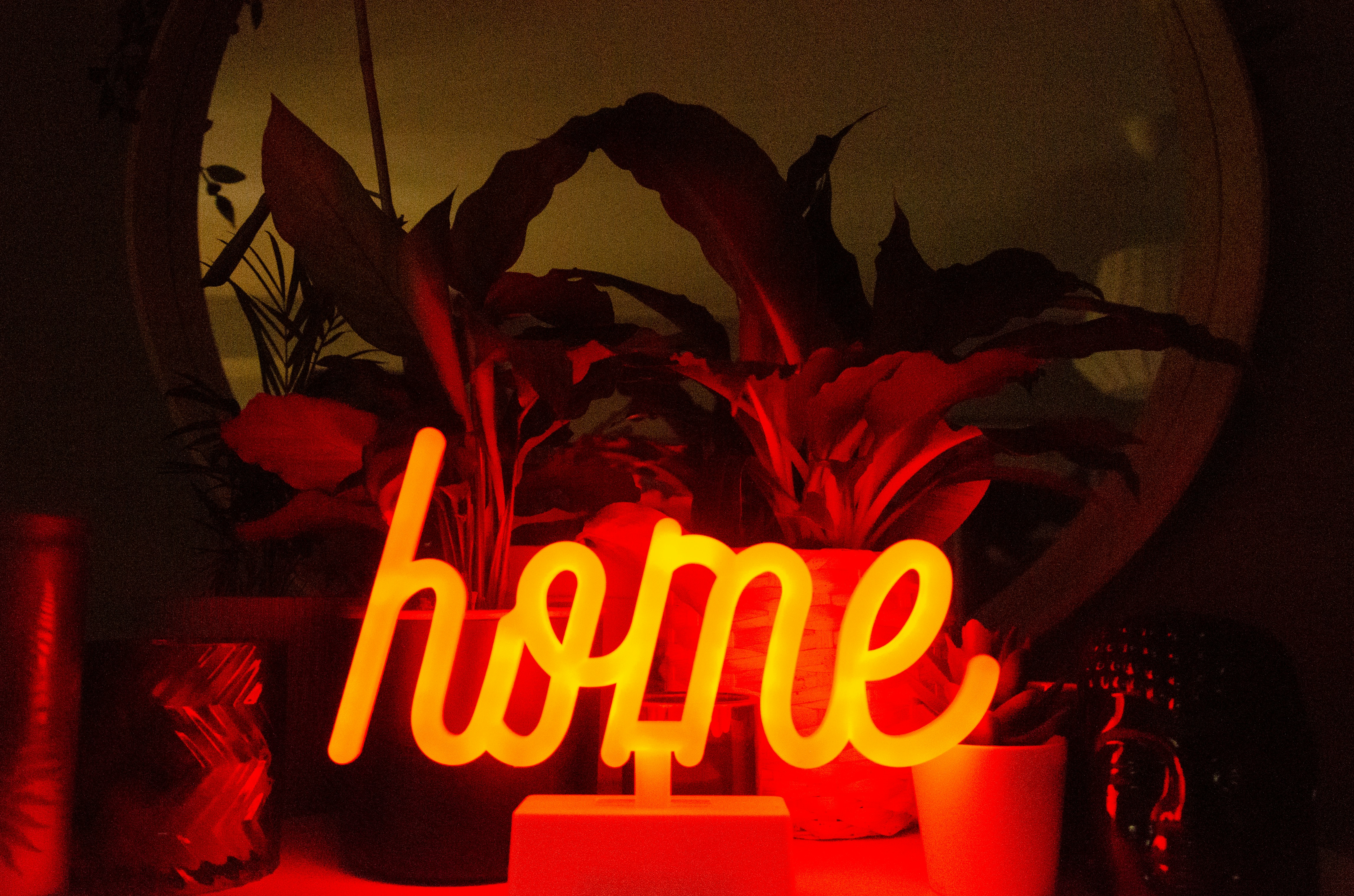 Neon "Home" Schriftzug zwischen Zimmerpflanzen. Neues Zuhause Deko.