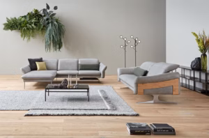 Himolla Promotion Ledersofa Ecksofa 2 Sitzer Grau